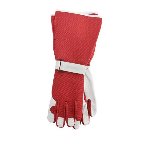 Annabel Trends | Sprout Goatskin Gloves - Long-sleeve - Red